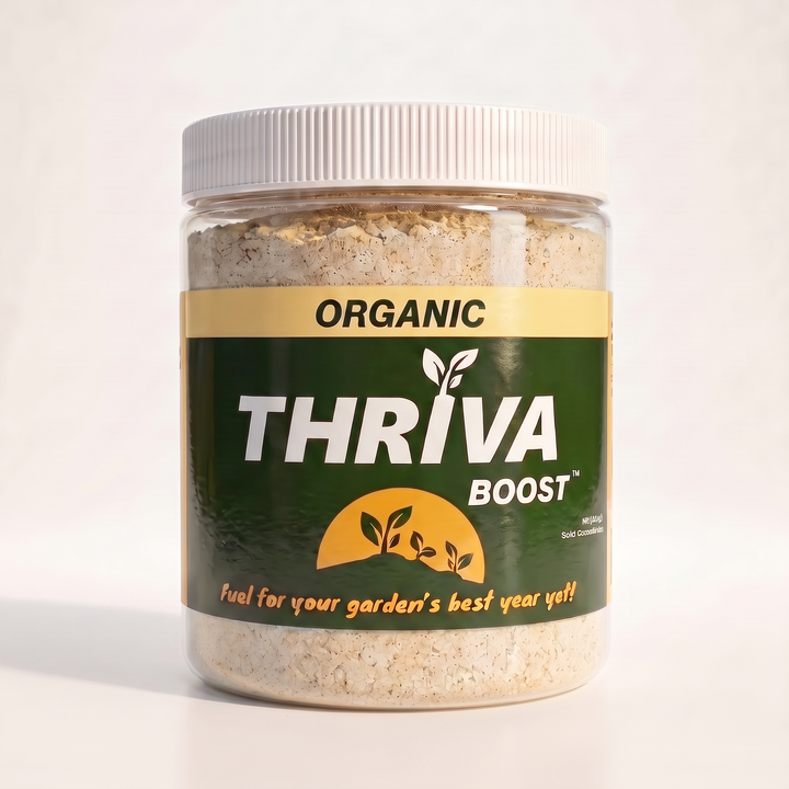Thriva Boost 16oz Granule Concentrate