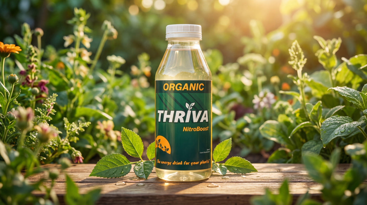 Thriva Boost in a thriving vegetable garden