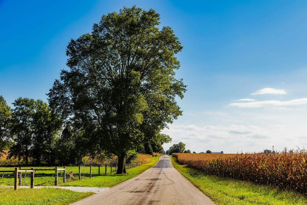 Thriva Boost agricultural field