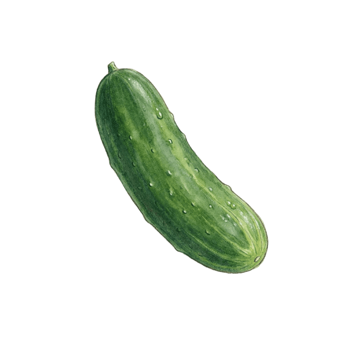 Cucumbers